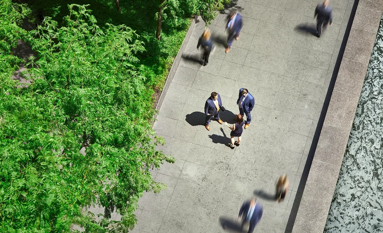 Primary Image - PS 12