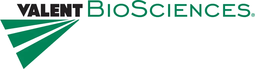 Valent